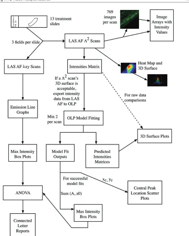 Figure 2. software that allowed us to fit surfaces to the data to permit the comparison of the different treatments