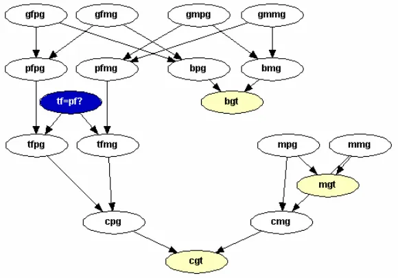 Table 1.5: Notation for Network in Figure 1.13.