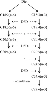 Figure 1. Synthetic pathway of long chain unsaturated fatty acids. D6D: δ-6 desaturase; D5D: delta-5-desaturase; e: elongases