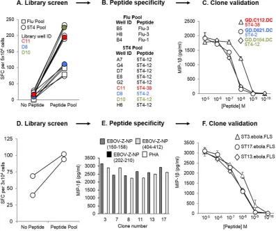 Fig. 4. Isolation of peptide-speciGD.D104.DC) have been illustrated in (C). (D) A second library established from a healthy HLA-A2the 5T4 oncofetal protein pool (been colour coded to illustrate their progression to validated 5T4-speciwas screened by IFNEBO