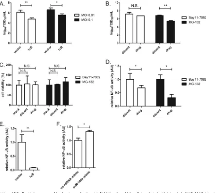 FIG 6 Inhibition of NF-�B activity suppresses Hendra virus replication. (A) HeV titers from HeLa cells transfected with 1.6 �g/ml pCMV-MAD-3 (vector) or1.6 �g/ml vector containing I�B and infected with HeV (24 h) **, P � 0.01; *, P � 0.05