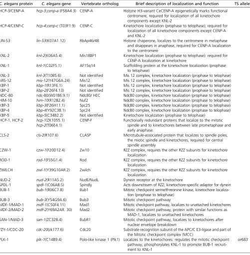 Table 2 Kinetochore proteins