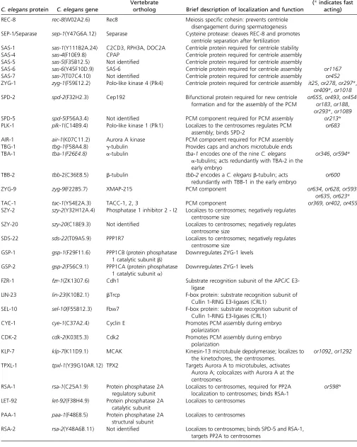 Table 1 Centrosomes and spindle assembly proteins