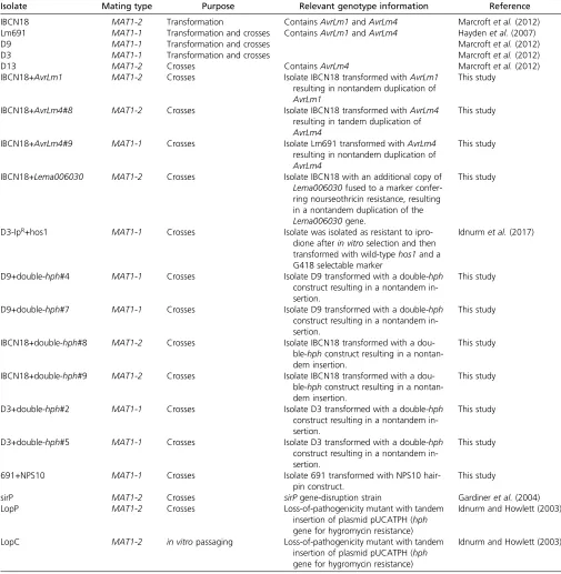 Table 1 L. maculans isolates used in this study