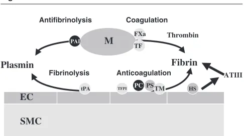Figure 1lial PC receptor as compared with control specimens, both invessels with and in those without thrombosis
