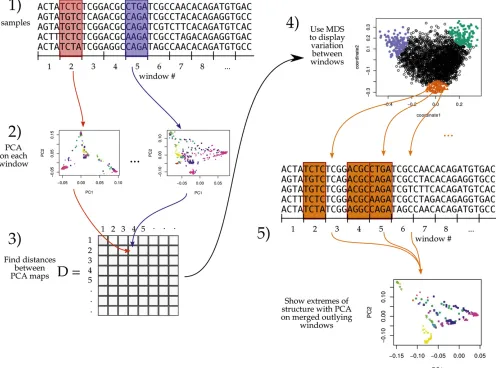 Figure 1 An illustration of the method; see Materials and Methods for details. MDS, multidimensional scaling; PC, principal component; PCA,PC analysis.