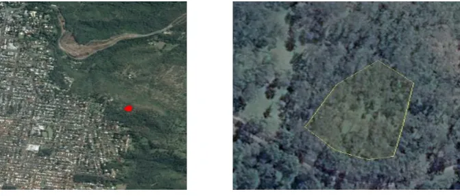 Figure 7. One section of the area being analysed. 
