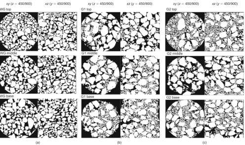Fig. 3. Line proﬁle along a representative grain
