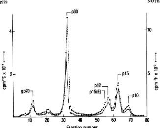 FIG.1.0).GelsMuLV'spreviously Co-electrophoresis of uncloned WN1802B virus (0) with a clone from this stock (WN1802B CL Dl, Electrophoresis was in 15% cylindrical acrylamide gels (13)