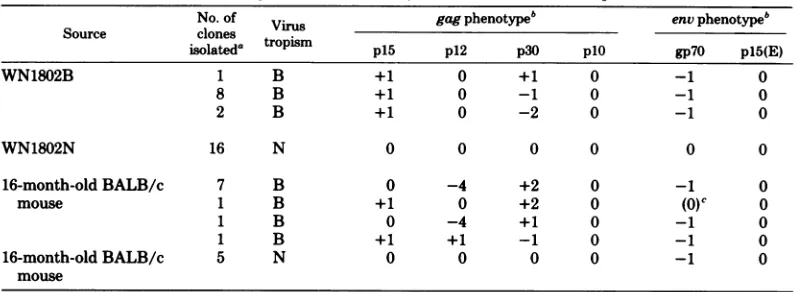 TABLE 1. Electrophoretic mobilities ofBALB/c virus structural proteins