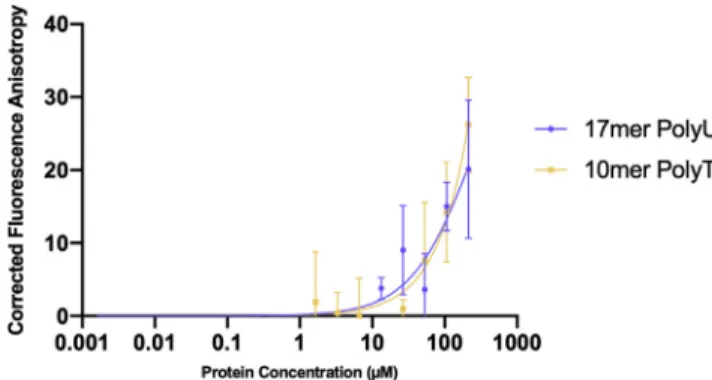 Figure 1. Nsp9 COV19 Nucleotide-Binding Assay