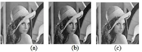 Fig 5.Barbara image (a) JPEG (b) JPEG 2000 (c) L-JPEG [13] 