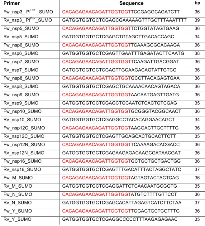 Table  2.4.  Primers  used  for  SUMO  cloning  in  pTriEx1.1  plasmid.  Red  colour  represents  vector sequence.	  