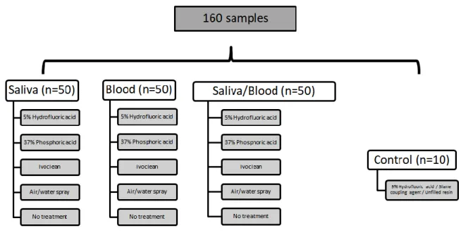 Figure 1 - Diagram of the different groups according to the type of contaminating agent and cleaning  methods for µSBS