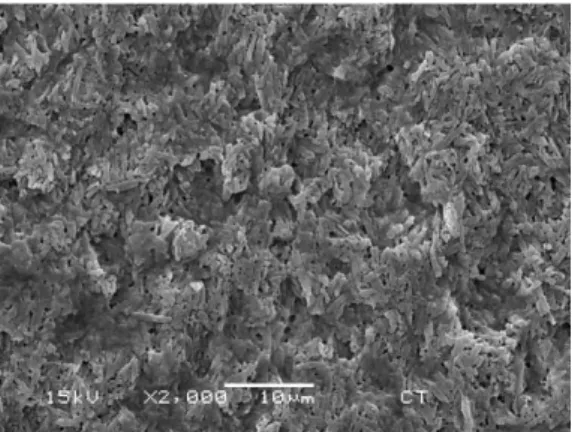 Figure  3.  Ceramic  surface  after  sandblasted  with  aluminum  oxide  particles  and  conditioned  with 5% hydrofluoric acid