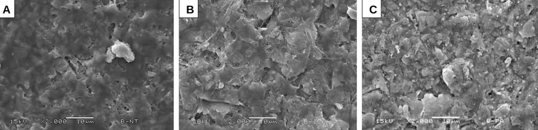 Figure  4.  SEM  images  (2,000X  magnification)  of  the  ceramic  contaminated  with  saliva