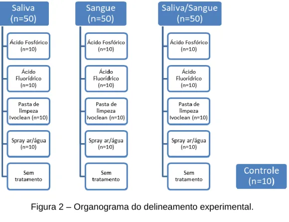 Figura 2 – Organograma do delineamento experimental. 