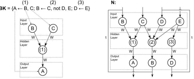 Figure 1: C-IL2corresponding neuron is connected to the hidden neuron using weight(1) is then connected to the output neuron corresponding to A using connection weightFinally, input and output neurons that share the same label are recursively connected fro