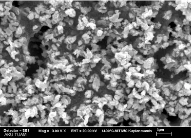 Fig. 5a WC-Ti-Ni Composite specimens 1400°C 1KX      Fig. 5b WC-Ti-Ni Composite specimens 1400°C 2KX 