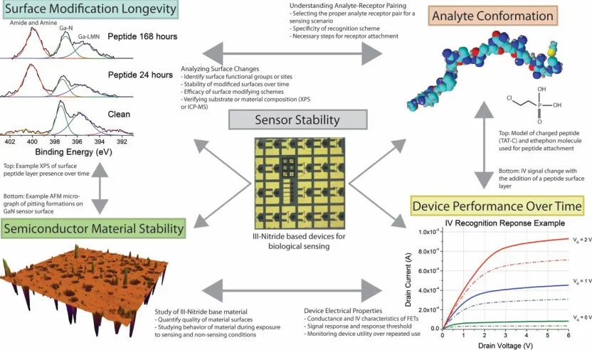 Figure 1.6. Testing methods and objectives of the different properties that make up the stability of a 