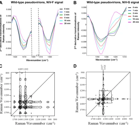 FIG 4 Energy input results in the detection of G and F glycoprotein conformational variations in NiV/VSV pseudovirions