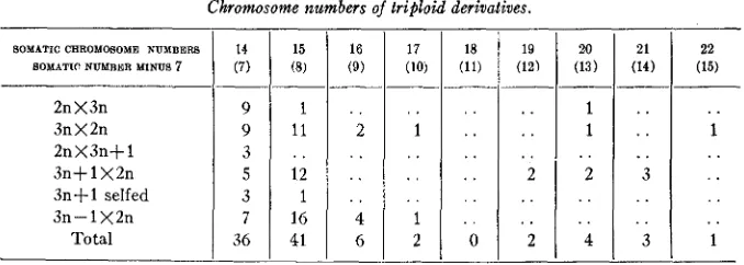TABLE 4 