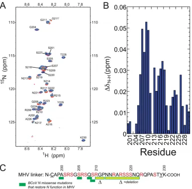 FIG 9 (A) 1H,15N HSQC spectrum of the MHV SR-linker peptide, free and in the presence of increasing concentrations of unlabeled MHV nsp3a
