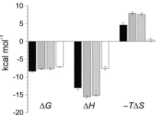 FIG 6 Thermodynamic summary of MHV NTD–MHV nsp3a binding equi-libria. Shown is a graphic comparison of the enthalpic ((MHV N60-219 (ﬁlled bars), MHV S207D N60-219 (stippled bars), MHVS218D N60-219 (diagonally striped bars), and MHV N1-219 (open bars)