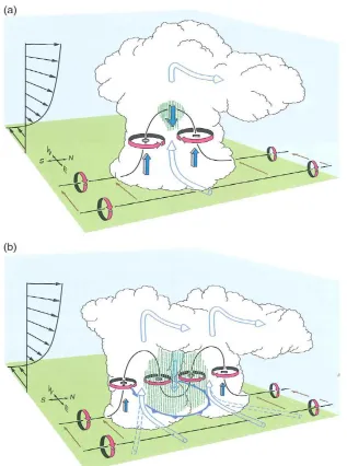 Figure 2.7. a) Initial development of counter-rotating mid-level vortices within a supercell as a result of the tilting of horizontal vortex lines by a convective updraft; b) splitting of a supercell by downdraft, producing left- and right-moving supercell