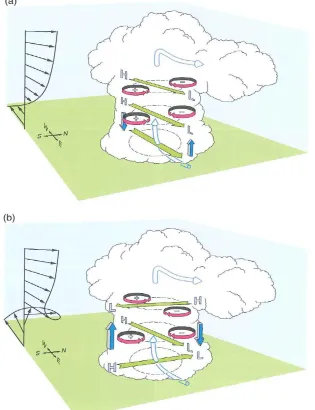 Figure 2.8.  a) Perturbation pressure fields in a developing supercell within an environment with a straight hodograph; b) the same, but for a curved hodograph, producing preferential updrafts on the (storm motion-relative) right side of the supercell and 
