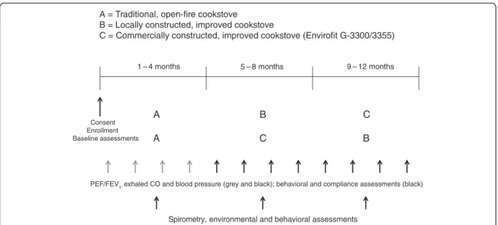 Figure 1 Intervention study design by site. PEF = peak expiratory flow, FEV 1 = forced expiratory volume at 1 second, CO = carbon monoxide.