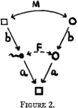 FIGURE 2. Rate of decrease in heterozygosis 