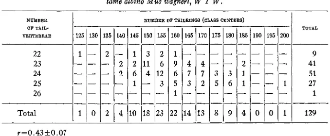 TABLE 3 tailrings and the number 