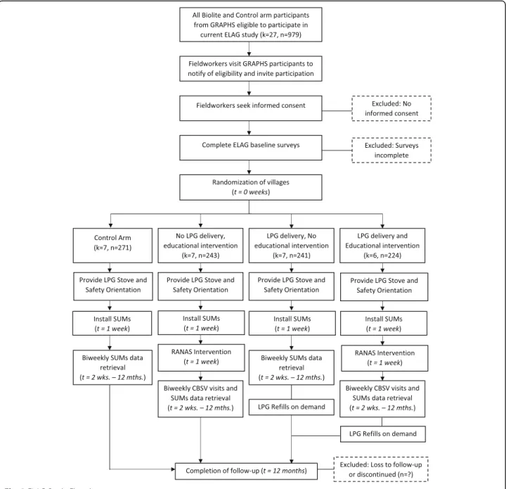 Fig. 3 ELAG Study Flowchart
