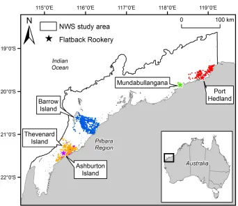 Fig. 1. Filtered internesting positions (n = 5402) from all rookeries (n = 5). Colored positions represent filtered internesting positions from each rookery.
