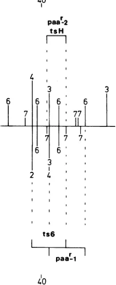 FIG. 9.ispaar_1,shown an Summary of the mapping data for tsH, ts6, and paad-2. The region of the genome shown enlargement of the 39- to 43-map unit region in Fig