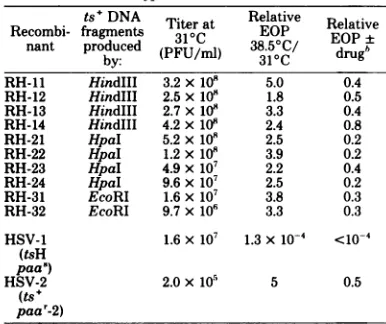 TABLE 2. Intertypic recombinants: RH series'tsR