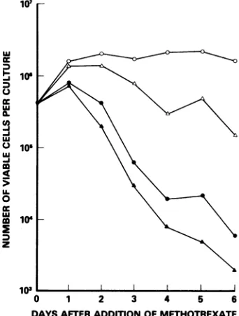FIG.1.otrexateinwithfreevivalAfterculturesnumber 50-mm Effect of methotrexate and serum on sur- of 143 (TK-) cells