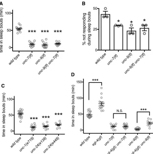 Figure 1 UNC-7 and UNC-9 gap junction proteinsL4 to adult lethargus. Error bars show the SEM.Pandare required for normal L4/A developmentally timedsleep and arousal and are downstream of EGL-4PKG
