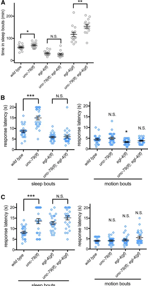 Figure 4 EGL-4 PKG is downstream of NCA channels during L4/A leth-lation during sleep bouts (left panel) and motion bouts (right panel)
