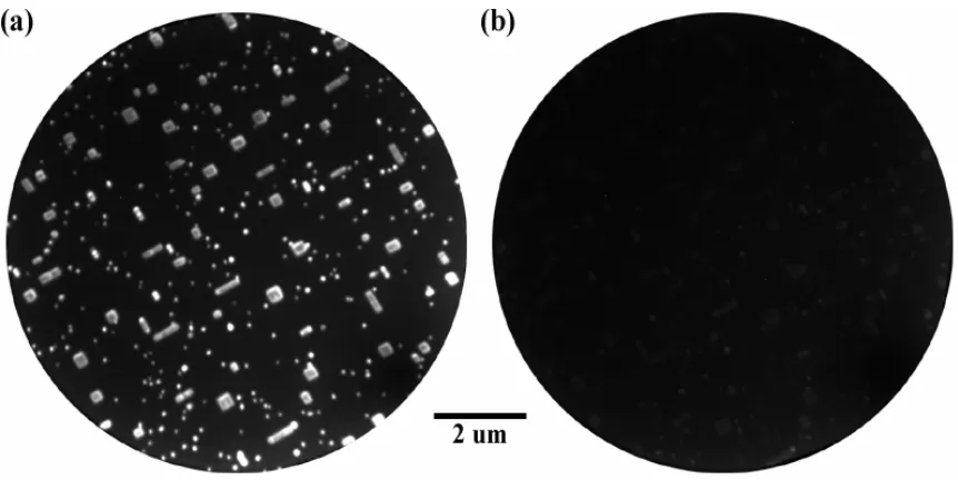 Figure 2.10  Images of DySi2 nanostructures on a Si(001) substrate obtained with the Ar 