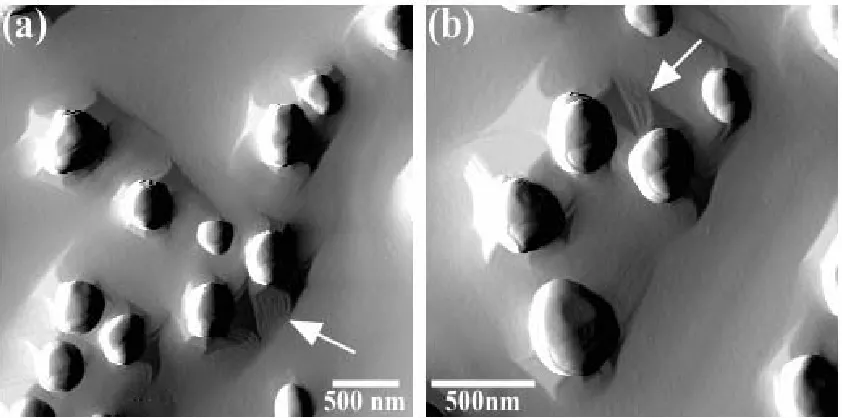 Figure 3.10  AFM images of HfSi2 islands on Si(001) after annealing at ~1200°C in 