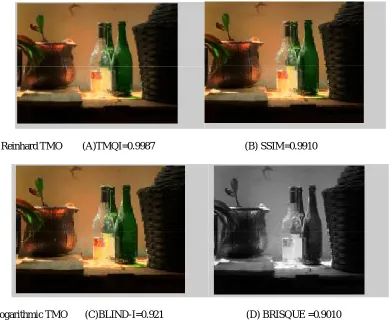Table 5.1: Quality Assessment of Tone Mapped Images 