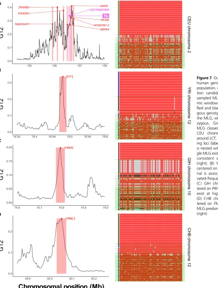 Figure 7 Outlying G12 signals inhuman genomic data. For eachpopulation, we show a top selec-tion candidate and display itssampled MLGs within the geno-mic window of maximum signal.Red and black sites are homozy-gous genotypes at a SNP withinthe MLG, while 