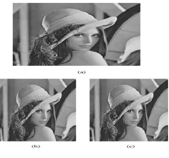 Figure 8.  Horizontal Pixel Interleaving  . (a) Original Image (512x512)  (b) SubImage 1 (256x512)  (c) Sub-Image 2 (256x512) 