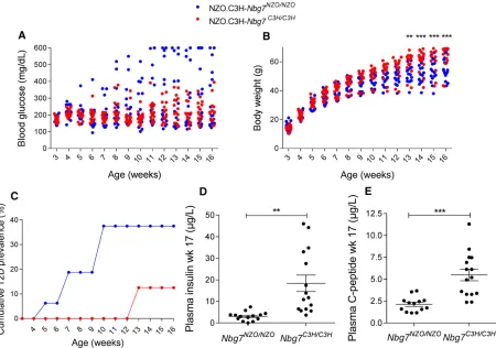 Figure 5 Characterization of the recombinant congenic line NZO.C3H.Nbg7. Introgression of chromosome 7 (17–111 Mb) from C3H into the NZOgenome led to lower blood glucose levels (A), higher body weight (B), a lower T2D prevalence (C), increased plasma insul
