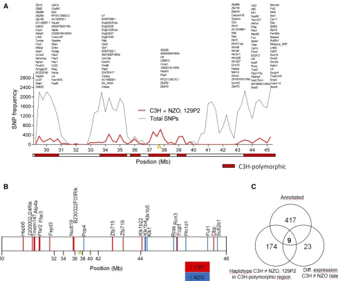 Figure 6 Combined approach of haplotype and gene expression analysis in the islets of parental strains for the identishown by blue vertical lines