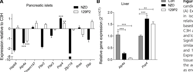 Figure 7 Quantitative real-time PCR ofmice. Statistical differences between strains were calculated by one-way ANOVA followed by post hoc Bonferroni test;candidate genes in the parental strains.(A) Expression of nine candidate genesin isolated pancreatic i