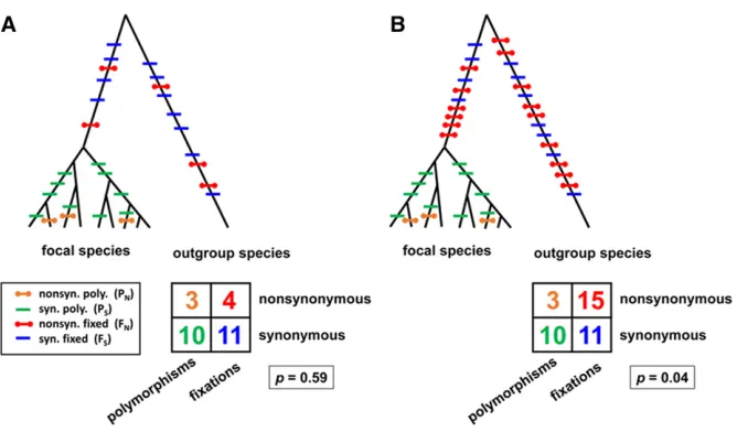 Figure 1synonymous mutations are adaptive, natural se-lection quickly drives them tois typicallycies (Fnonsynonymous differencesexact test