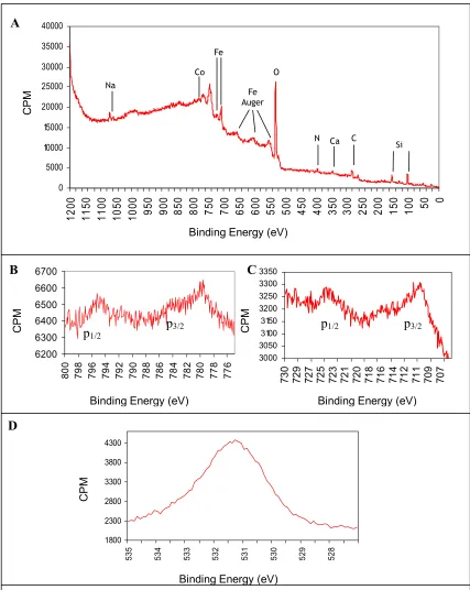 Figure 1.9 XPS spectrum for magnet separated material synthesized by isolate I 2 96, A – the entire spectrum, B, C, D - high resolution spectrum of Co, Fe and OFigure 1.9 XPS spectrum for magnet separated material synthesized by isolate I 2_96, A – the ent